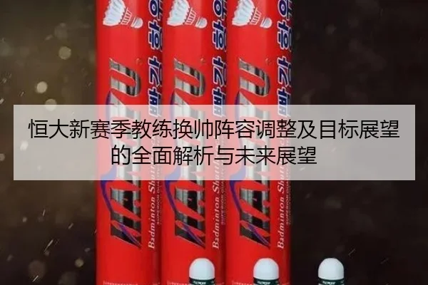 恒大新赛季教练换帅阵容调整及目标展望的全面解析与未来展望